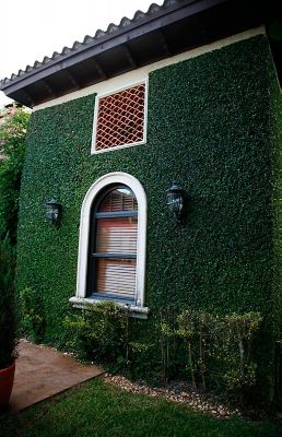 Image showing  19.68 in. x 19.68 in. Artificial Foliage Ivy Style Wall Panels, 4 pc.