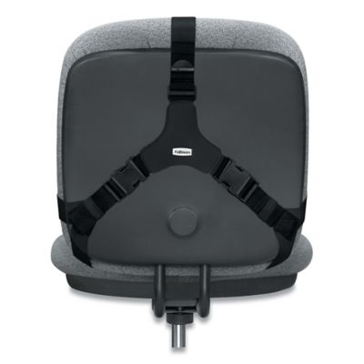 Image showing  Professional Series Back Support with Memory Foam Cushion
