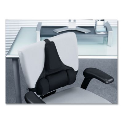 Image showing  Professional Series Back Support with Memory Foam Cushion