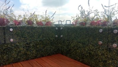 Image showing  19.68 in. x 19.68 in. Artificial Foliage Ficus Gold Style Wall Panels, 4 pc.