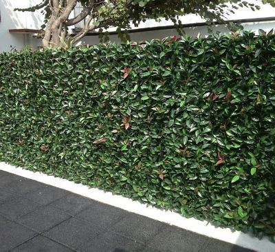 Image showing  19.68 in. x 19.68 in. Artificial Foliage Laurel Style Wall Panels, 4 pc.