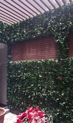 Image showing  19.68 in. x 19.68 in. Artificial Foliage Laurel Style Wall Panels, 4 pc.