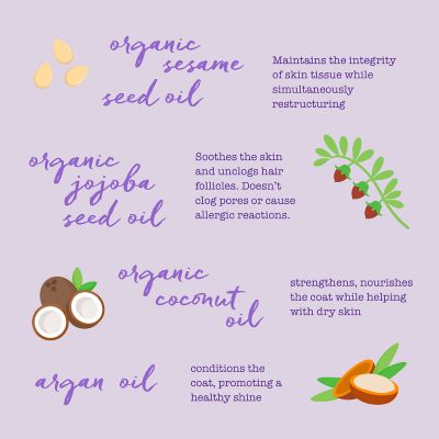 Image showing  Dream Coat Conditioner for Dogs, 13.5 oz.