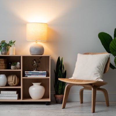 Image showing  60W Equivalent/800 Lumen A19 LED Light Bulbs with Soft White, 2,700K, 4-Pack