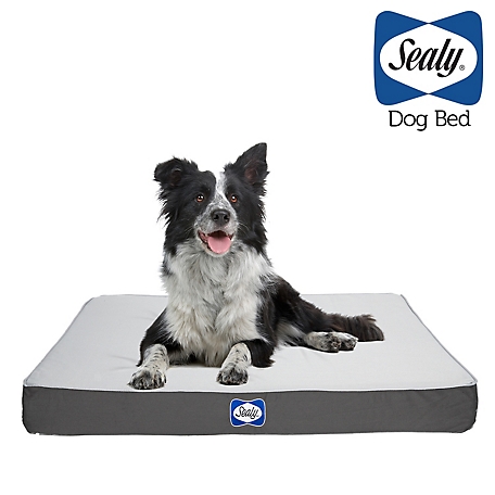 Sealy Defender IPX Rated Indoor/Outdoor Water-Resistant Mattress Dog Bed