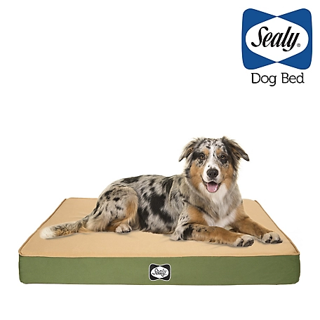 Sealy Defender IPX Rated Indoor/Outdoor Water-Resistant Mattress Dog Bed