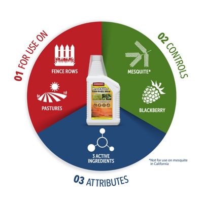 Image showing  1 qt. Brush Killer for Hard-to-Kill Brush