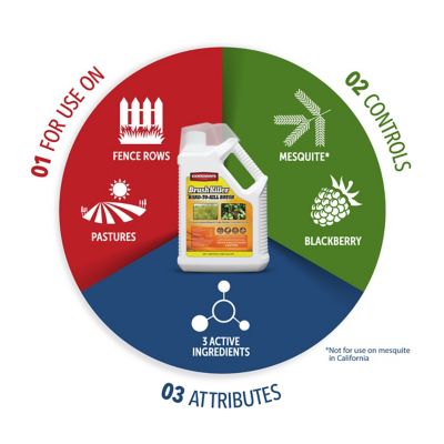 Image showing  1 gal. Brush Killer for Hard-to-Kill Brush