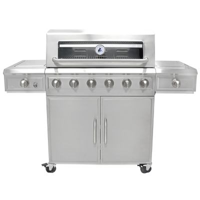 3 Embers 6-Burner Stainless Steel Dual Fuel Propane and Natural Gas Grill, Gray, With Side Burner