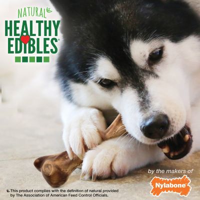 Image showing  Healthy Edibles WILD Natural Long Lasting Venison Flavor Dog Chew Treats Wild Bone Large (Pack of 1)