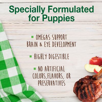 Image showing  Healthy Edibles Puppy Natural Long Lasting Dog Chew Treats Lamb & Apple Small/Regular (3 Count)