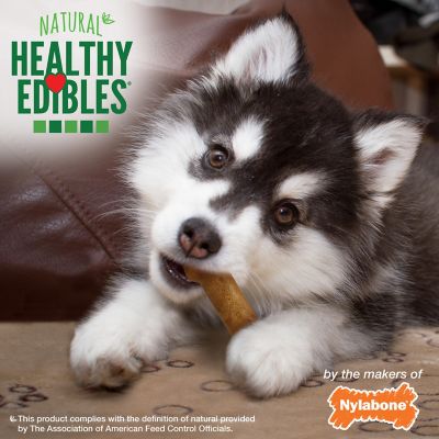 Image showing  Healthy Edibles Puppy Natural Long Lasting Dog Chew Treats Lamb & Apple Small/Regular (3 Count)