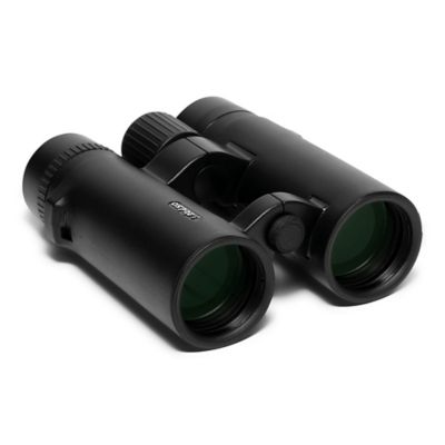 Image showing  10x 42mm Binocular