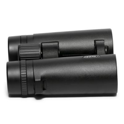 Image showing  10x 42mm Binocular
