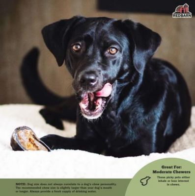 Image showing  Cheese and Bacon Filled Hooves Dog Chew Treat