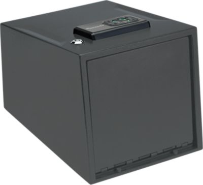 Image showing  2 Gun Keypad Vault