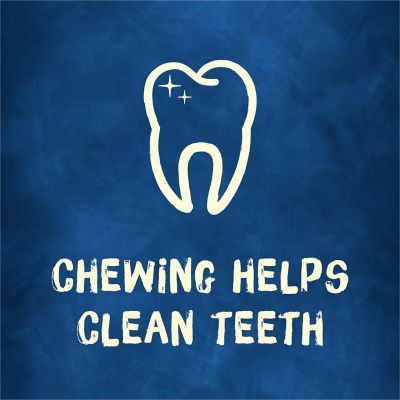 Image showing 5 th Purina Busy Bone Adult Dog Chew Bone Treats, Peanut Butter, 10 ct. Pouch