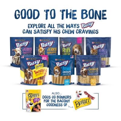 Image showing 8 th Purina Busy Bone Adult Dog Chew Bone Treats, Peanut Butter, 10 ct. Pouch