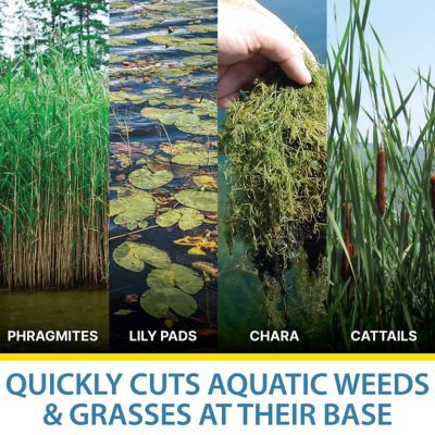 Image showing  Weed Razer Aquatic Weed Cutter