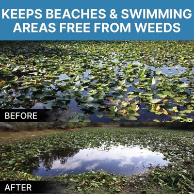 Image showing 7 th Jenlis Weed Razer Aquatic Weed Cutter