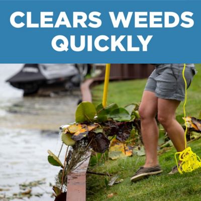 Image showing  Pond Weed Raker