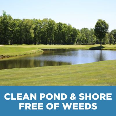 Image showing 5 th Jenlis Pond Weed Raker