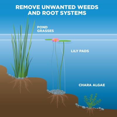 Image showing 6 th Jenlis Pond Weed Raker