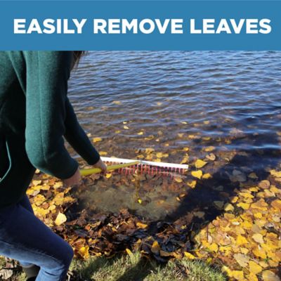 Image showing 8 th Jenlis Pond Weed Raker