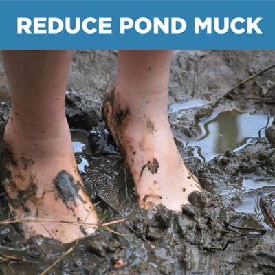 Image showing 7 th Jenlis Muck Razer Underwater Mower