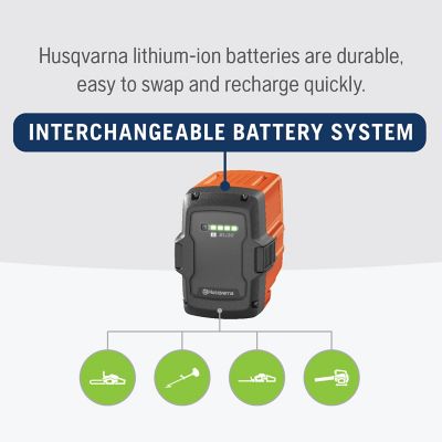 Image showing  BLi30 40V Battery, 270Wh Lithium Ion Battery for 100- and 300-Series Power Tools