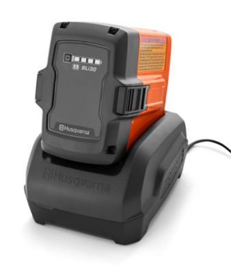 Image showing  QC250 250W Lithium-Ion Battery Charger