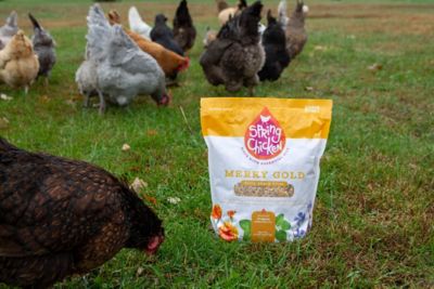 Image showing  Merry Gold Chicken Snack Mix, 5 lb.