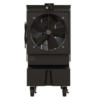 Big Ass Fans 16 gal. Cool-Space 300 Variable Speed Indoor/Outdoor Evaporative Cooler, 1,200 sq. ft.