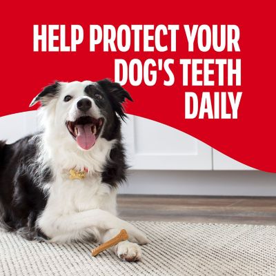 Image showing 5 th Milk-Bone Fresh Breath Daily Dental Brushing Chews for Small & Medium Dogs