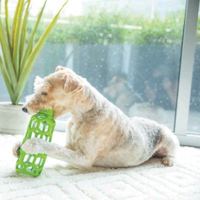 Image showing  Hol-Ee Bottle Dog Toy, Medium