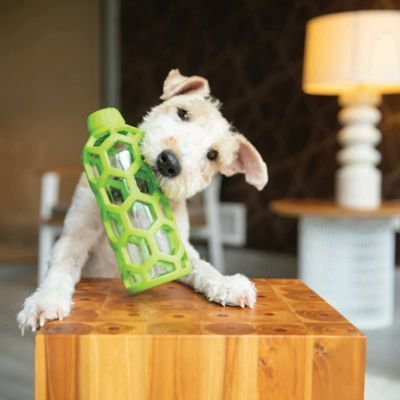 Image showing  Hol-Ee Bottle Dog Toy, Medium
