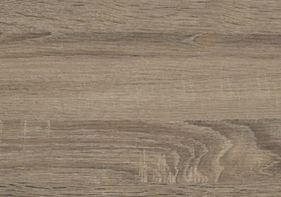 Image showing  3-in-1 Hall Tree Bench with Shoe Rack and Flip-Top Storage, 45.5 in. x 15.75 in. x 71 in.