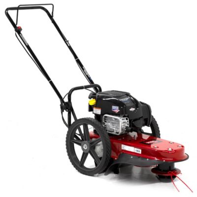 Toro 22 in. Gas-Powered 163cc 4-Cycle Briggs & Stratton Engine Walk Behind String Mower Very handy, better than pushing a lawn mower!