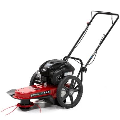 Image showing  22 in. Gas-Powered 163cc 4-Cycle Briggs & Stratton Engine Walk Behind String Mower