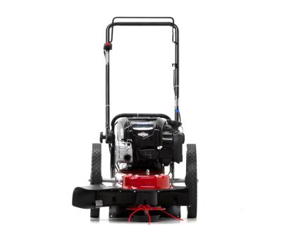 Image showing  22 in. Gas-Powered 163cc 4-Cycle Briggs & Stratton Engine Walk Behind String Mower
