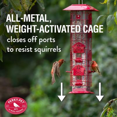 Image showing  2 lb. Red Barn Squirrel-Proof Bird Feeder