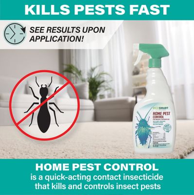 Image showing 8 th EcoSMART 24 oz. Natural Indoor/Outdoor Home Pest Control, 2-Pack