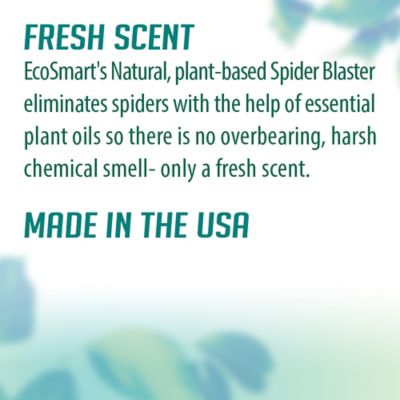 Image showing  9 oz. Natural Plant-Based Spider Blaster with Rosemary Oil, 2-Pack