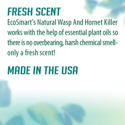 Image showing  9 oz. Natural Essential Oil Wasp and Hornet Killer, 2-Pack