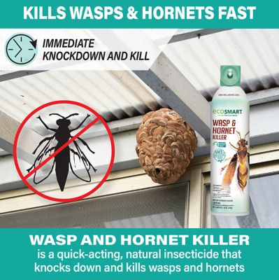Image showing 7 th EcoSMART 9 oz. Natural Essential Oil Wasp and Hornet Killer, 2-Pack
