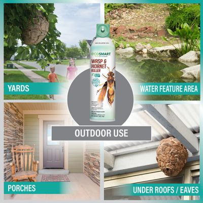 Image showing 5 th EcoSMART 14 oz. Natural Essential Oil Wasp and Hornet Killer, 2-Pack