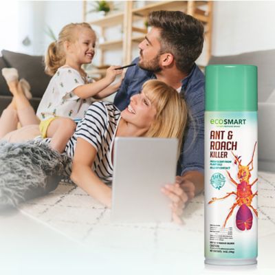 Image showing  14 oz. Natural Ant and Roach Killer with Peppermint Oil and Rosemary Oil, 2-Pack