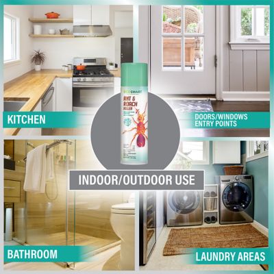 Image showing 5 th EcoSMART 14 oz. Natural Ant and Roach Killer with Peppermint Oil and Rosemary Oil, 2-Pack