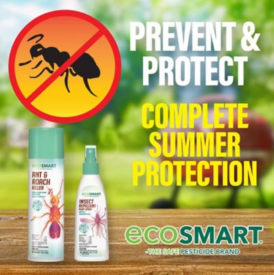 Image showing 6 th EcoSMART 14 oz. Natural Ant and Roach Killer with Peppermint Oil and Rosemary Oil, 2-Pack