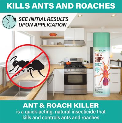 Image showing 8 th EcoSMART 14 oz. Natural Ant and Roach Killer with Peppermint Oil and Rosemary Oil, 2-Pack